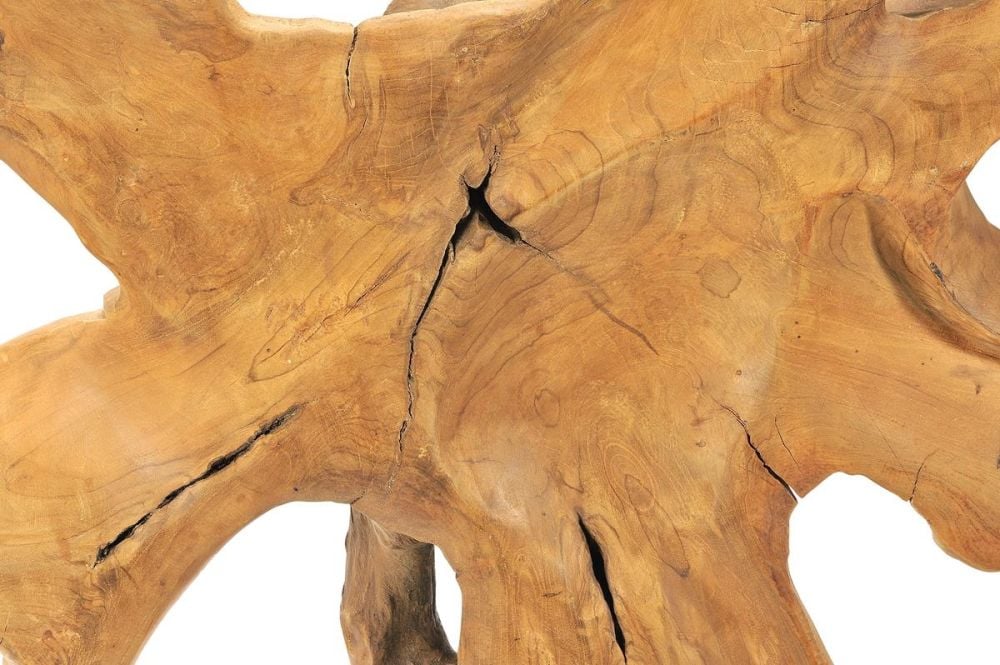 Abstract Root Divider Stand Décor