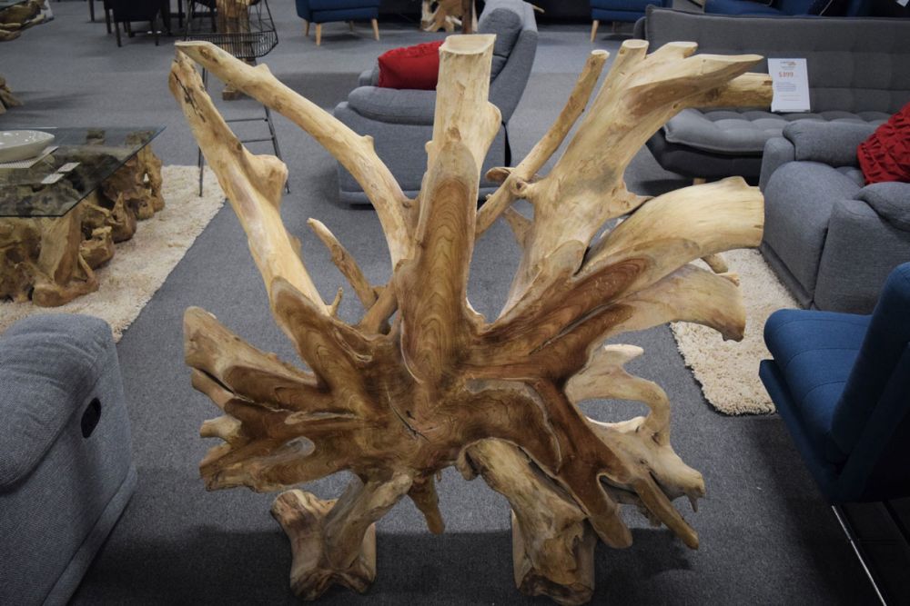 Narto Teak Root 1200 Square Divider