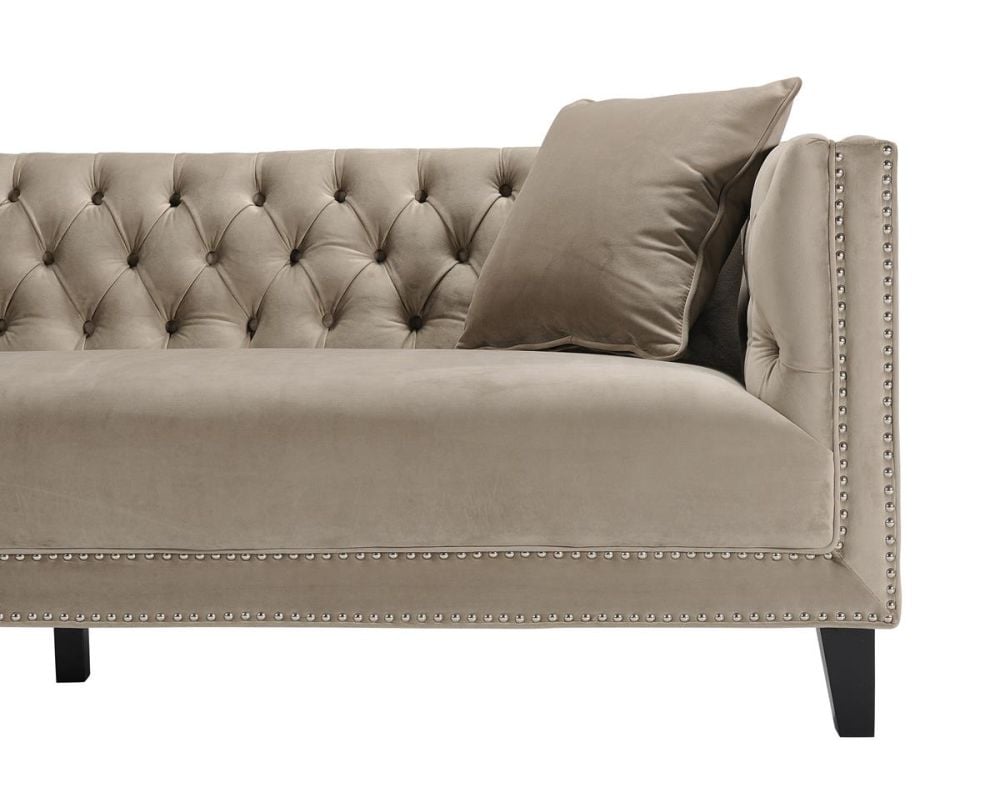 Peyton 2 Seater Loveseat - Beige Velvet