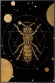 Insectology - Framed Glass Print With Gold Foil - 600x900 - 12231