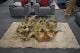 Narto Teak Root 1000 Square Coffee Table With Glass