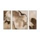 Erosion Framed Canvas - Set Of 3 - 28849E