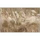 Meadow Framed Canvas - 35023H